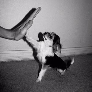 Meet your Posher, Alesia